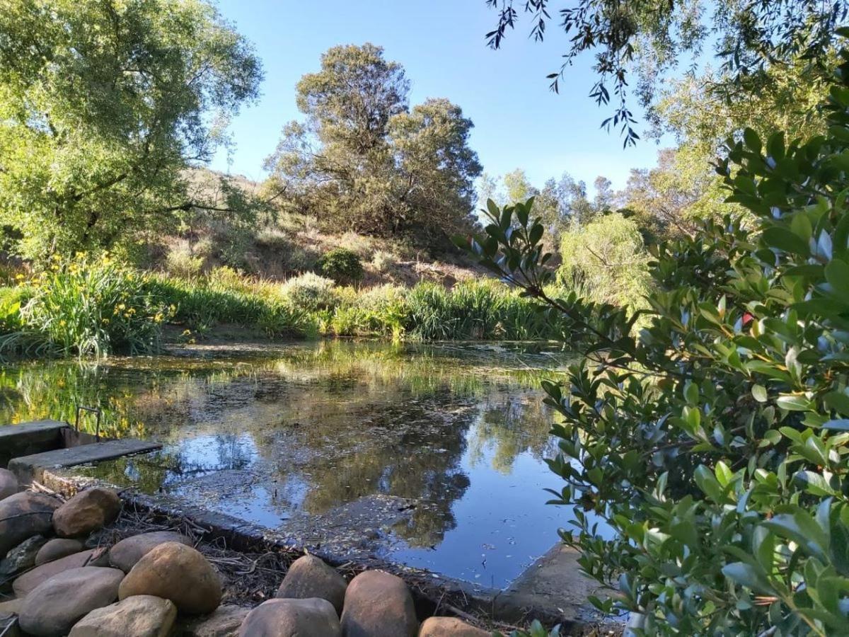 טולבאך Villa Tarentaal מראה חיצוני תמונה