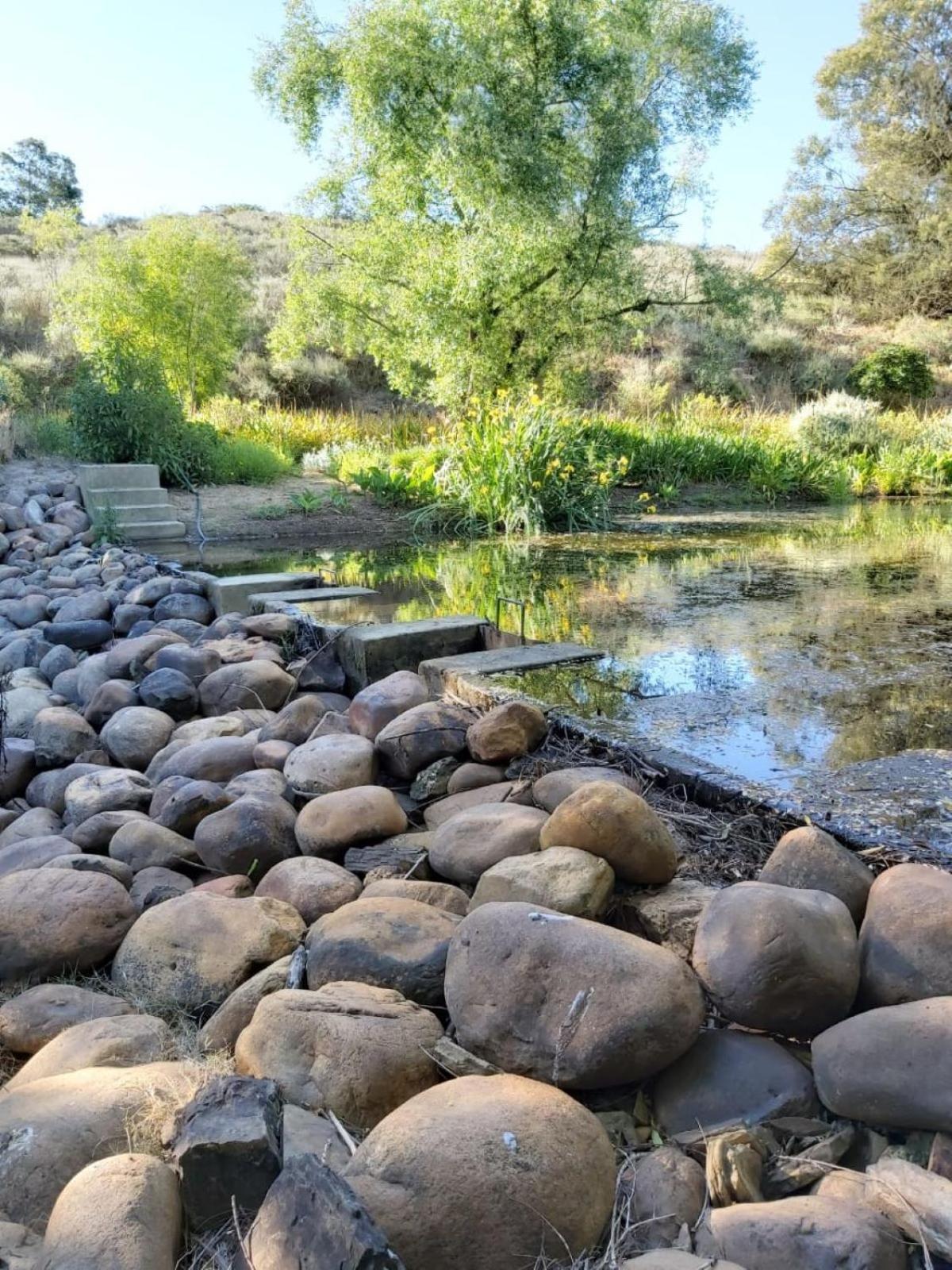 טולבאך Villa Tarentaal מראה חיצוני תמונה